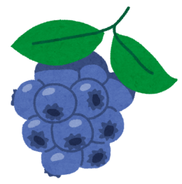 fruit_blueberry